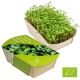 Bio Microgreen-Gärtchen 